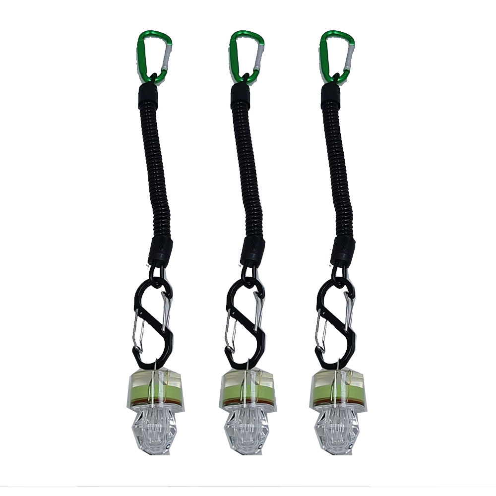 2-3PCS LED Fishing Lights With - Fish Alarm 评论和价格