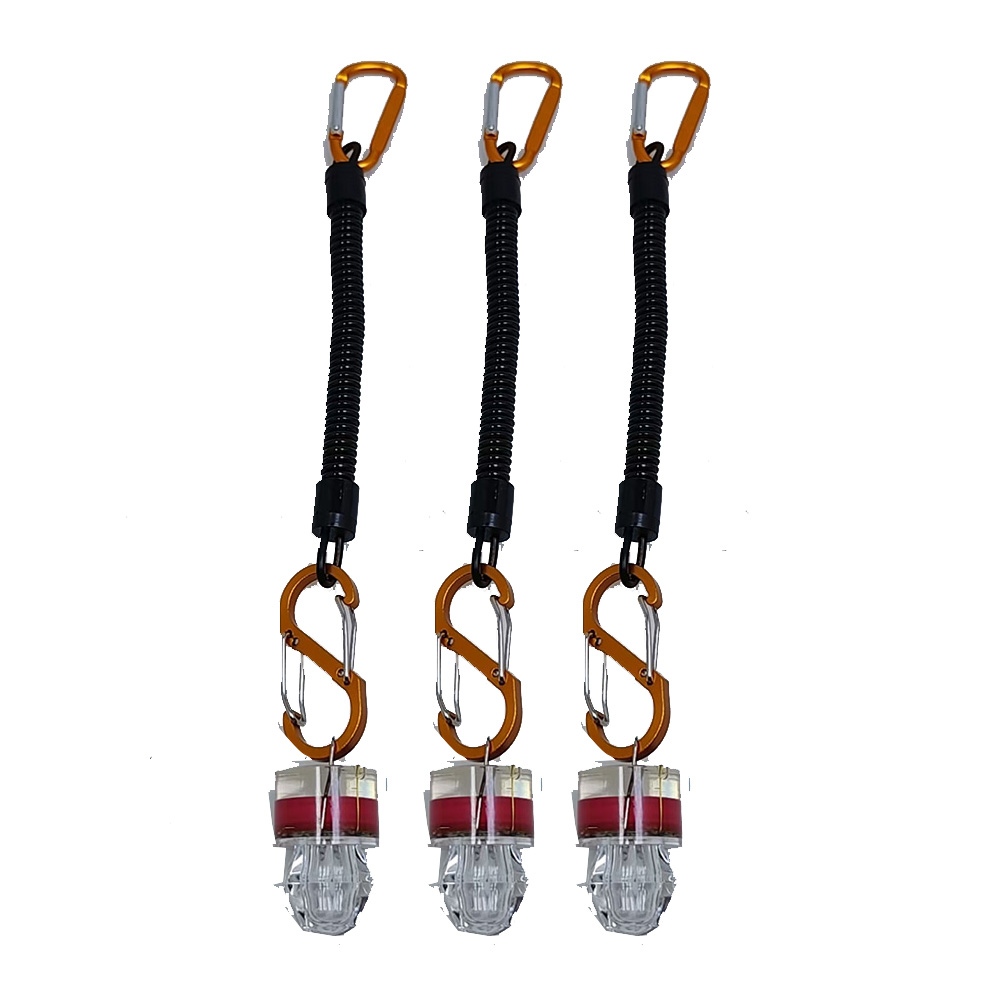 2-3PCS LED Fishing Lights With - Fish Alarm 评论和价格