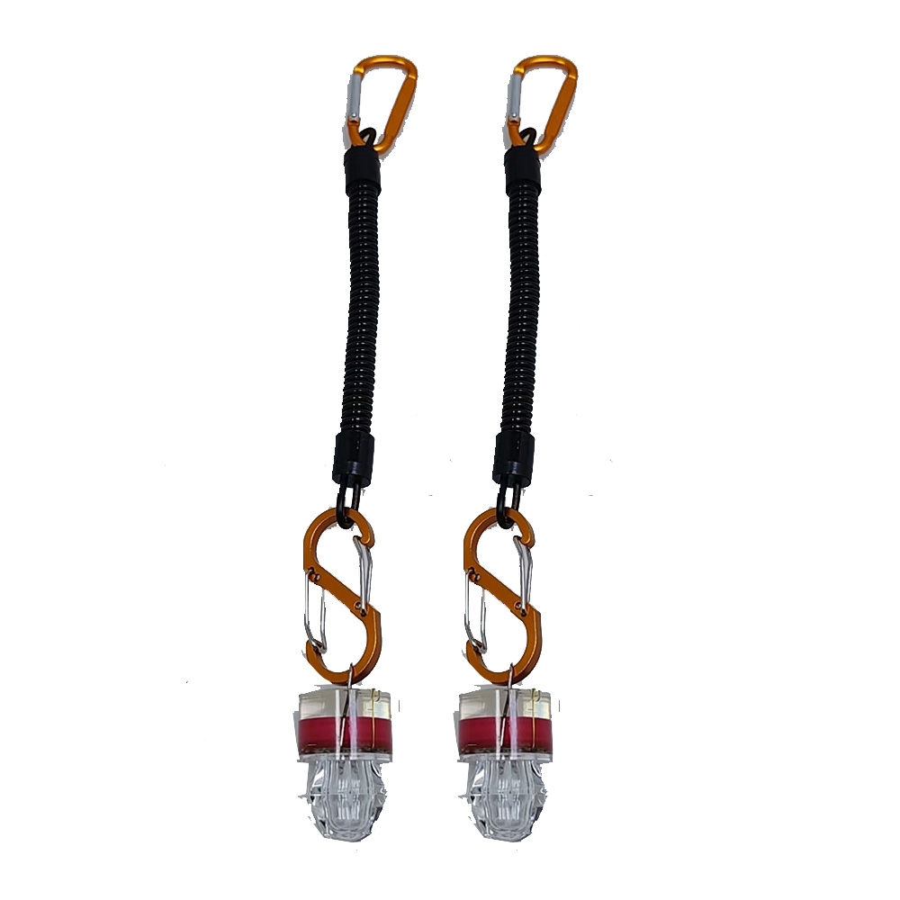 2-3PCS LED Fishing Lights With - Fish Alarm 评论和价格